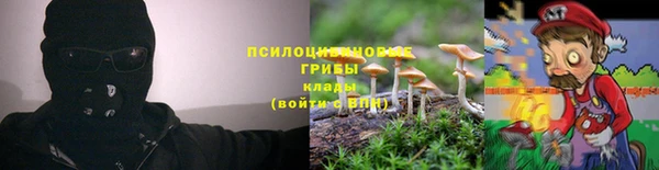 метадон Аркадак